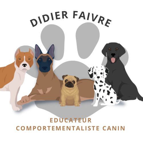 Didier éducateur et comportementaliste canin